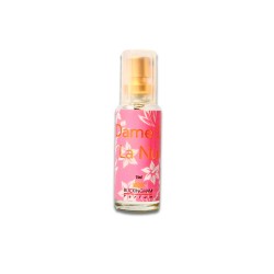 Perfume Dame de La Nuit Feminino - 15ml - Ange ou Démon